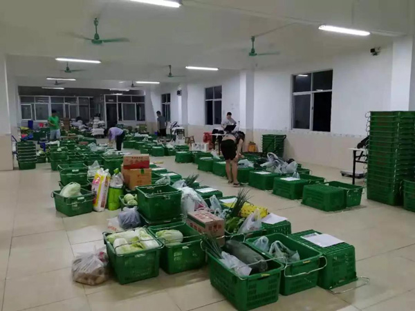 如何更快的進行分揀蔬菜 分揀蔬菜怎么最快