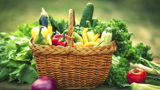 寧波珊瑚海：成立六年遭遇信息化瓶頸，高速發(fā)展下尋求更多突破